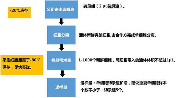 RNA-seq單細胞轉錄組測序在眼科領域中的研究應用